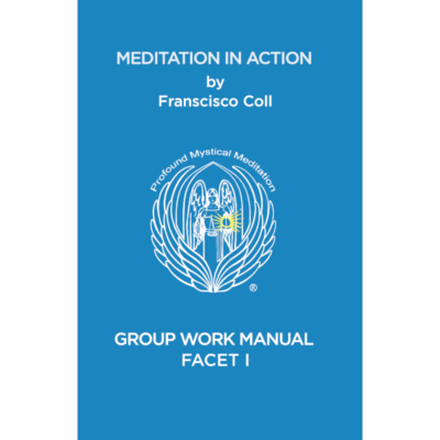 Meditation in Action: Group Work Manual