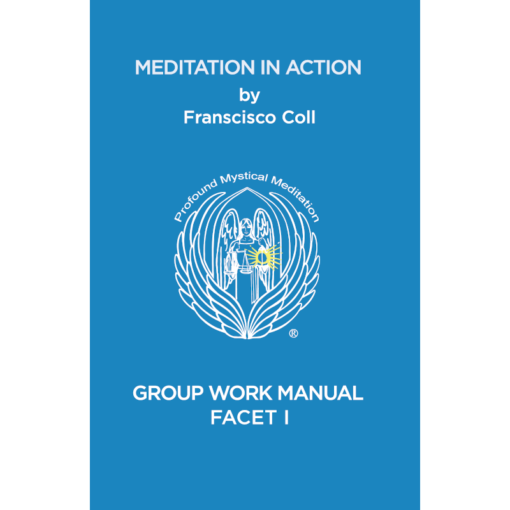 Meditation in Action: Group Work Manual
