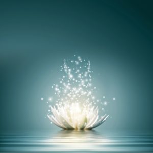 spiritual-awakening-flower