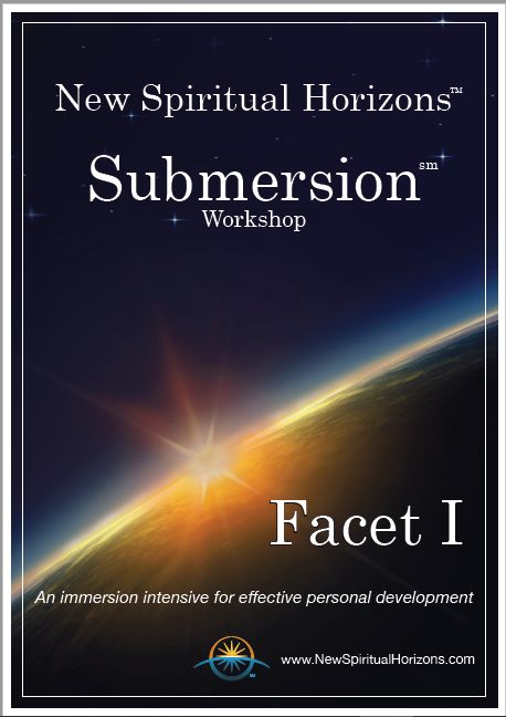 NSH Cover Facet 1