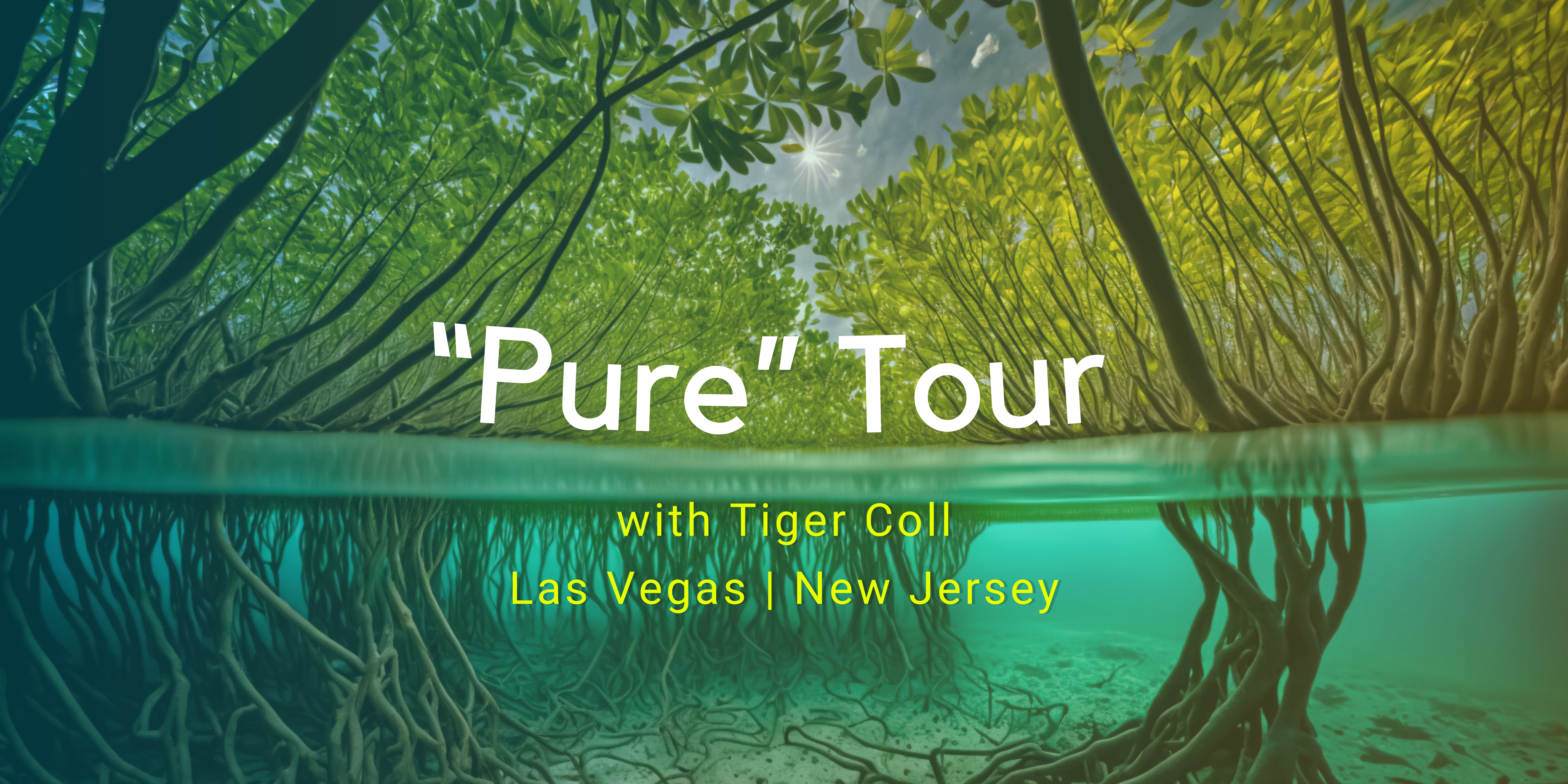 “Pure” Tour