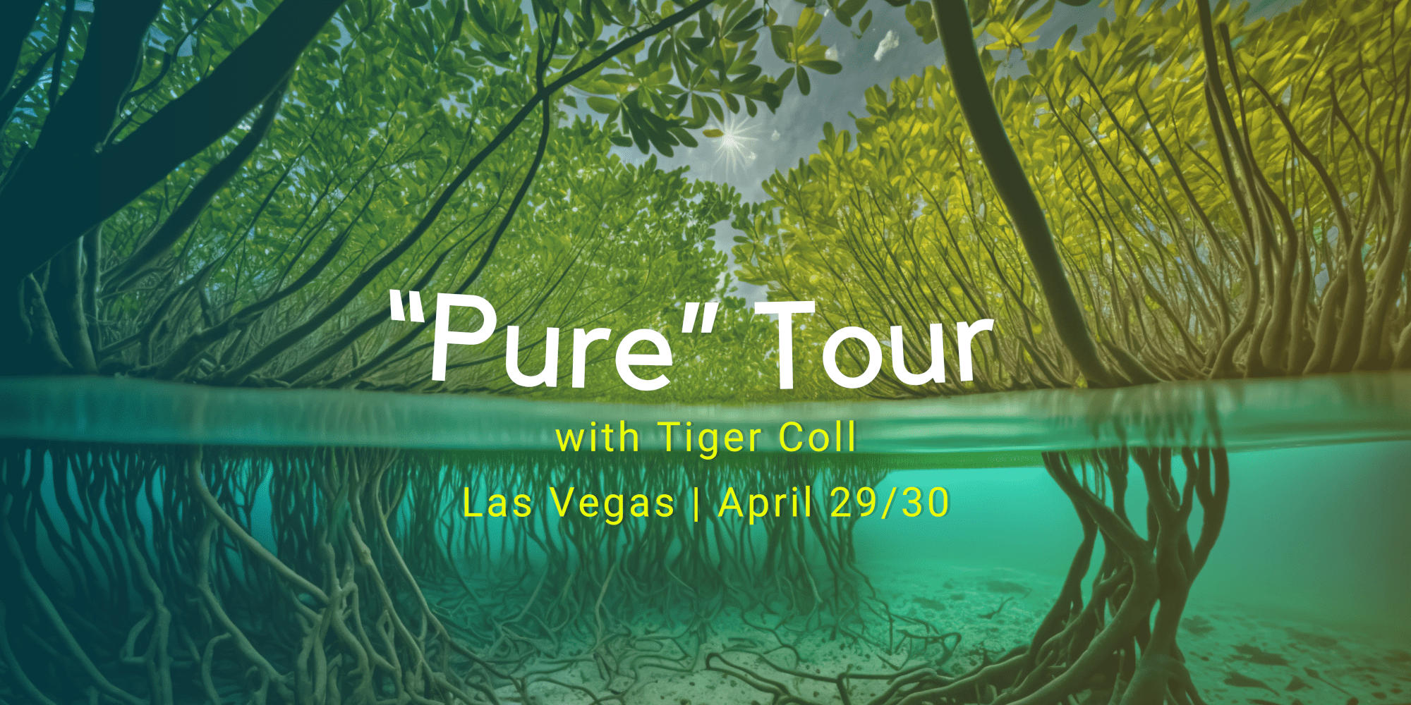 “Pure” Tour(1)